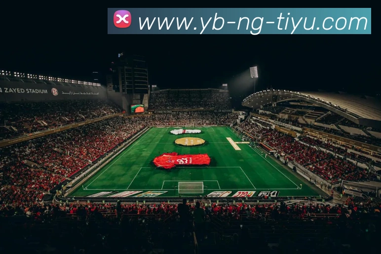 多媒体互动体验